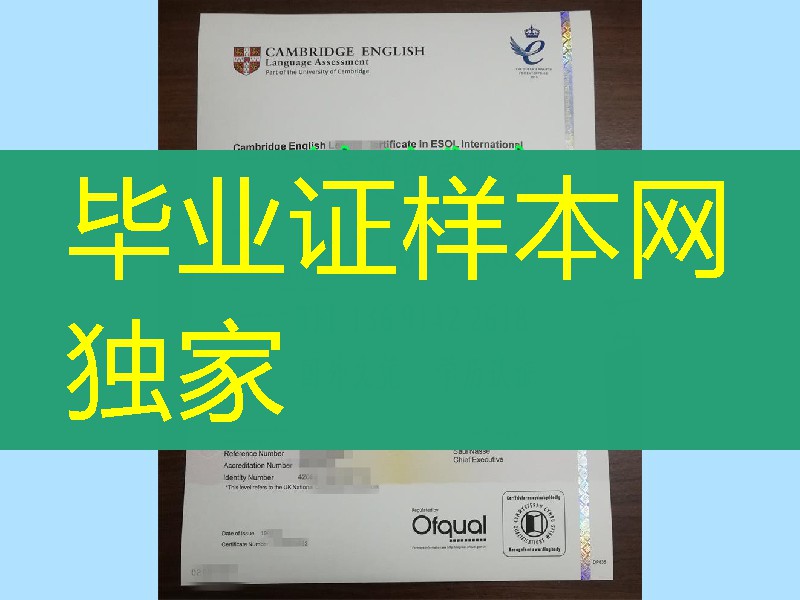 2019年商务英语等级证书B等级,BUSINESS ENGLISH CERTIFICATE