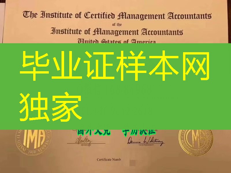 美国注册会计师证书Institute of Certified Management Accountants Institute of Management A