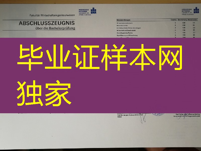 制作德国米特韦达应用科技大学成绩单,德国大学成绩单样本