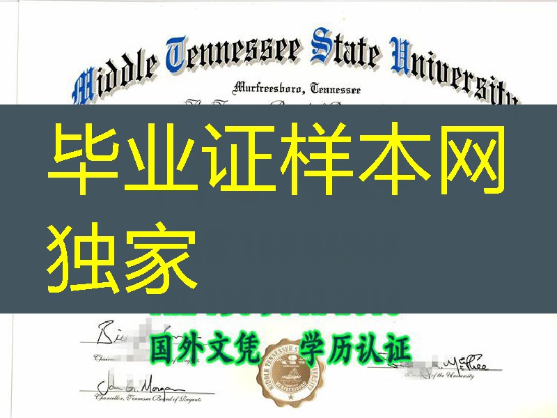 办中田纳西州立大学Middle Tennessee State University毕业证样板