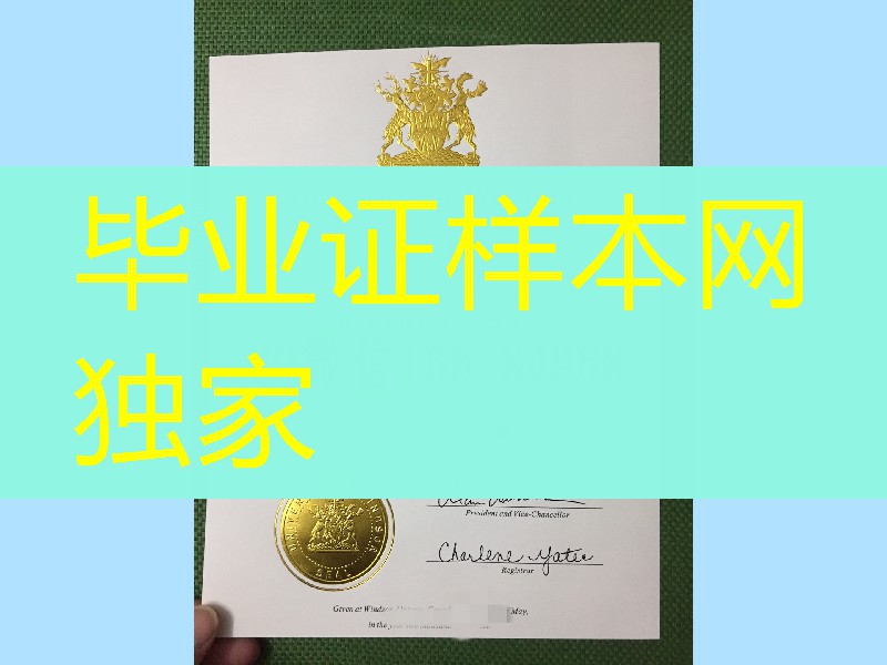 加拿大温莎大学毕业证案例反面实拍，University of Windsor diploma certificate