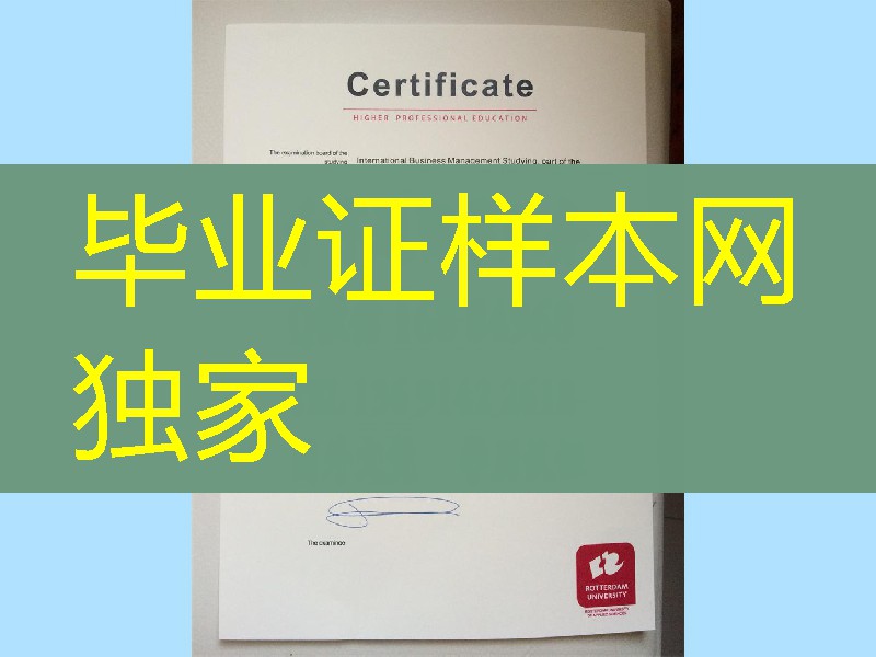 荷兰diploma,办鹿特丹商学院 Rotterdam Business School毕业证样板