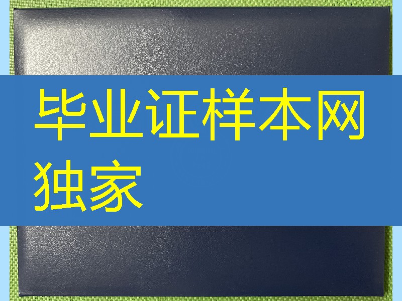 美国纽约视觉艺术学院毕业证外壳，school of visual arts diploma Cover美国文凭外壳定制