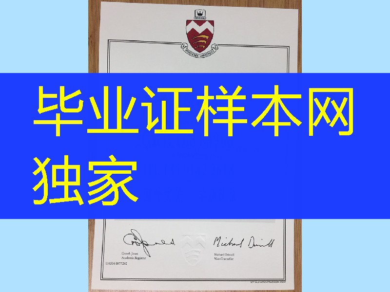 2006年英国密德萨斯大学硕士毕业证，Middlesex University master degree transcript