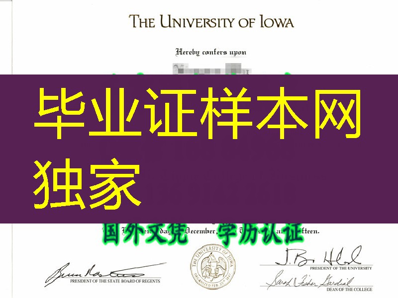 爱荷华大学毕业证，The University of Iowa dipoma2015年客户真实扫描件