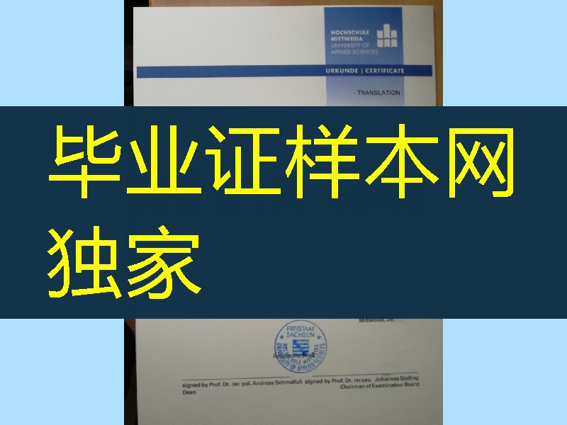 米特韦达应用科技大学Mittweida University of Applied Sciences毕业证，德国大学毕业证