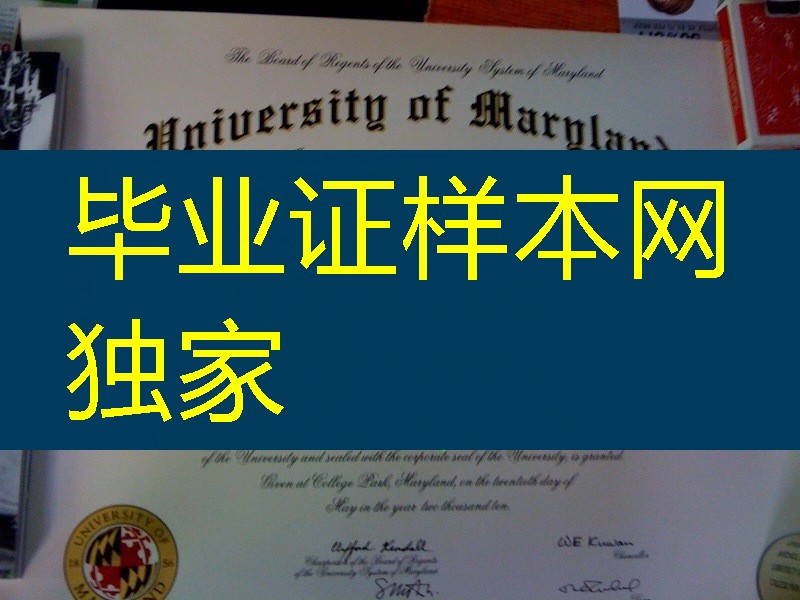 分享美国马里兰大学University of Maryland毕业证，University of Maryland diploma