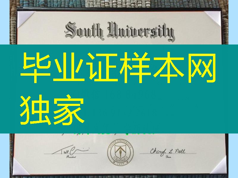 美国South University硕士毕业证，South University master degree