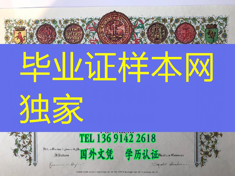 意大利都灵大学毕业证案例，Universita‘ degli Studi di Torino diploma degree