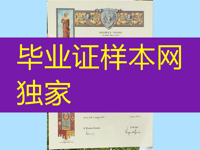 意大利罗马大学毕业证，罗马一大学位样本，Sapienza University of Rome diploma degree
