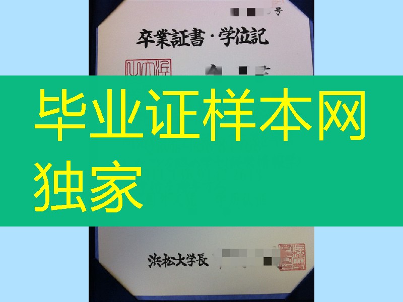 原版：日本滨松大学学位记卒业证书，HAMAMATSU University diploma certificate