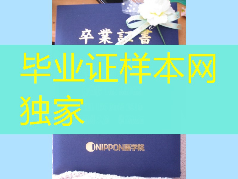 日本NIPPON语学院学位记外壳，日本学位记封皮定制