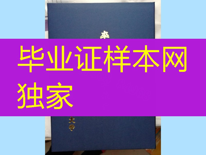 日本大阪国际大学学位记封皮，Osaka International University diploma Cover