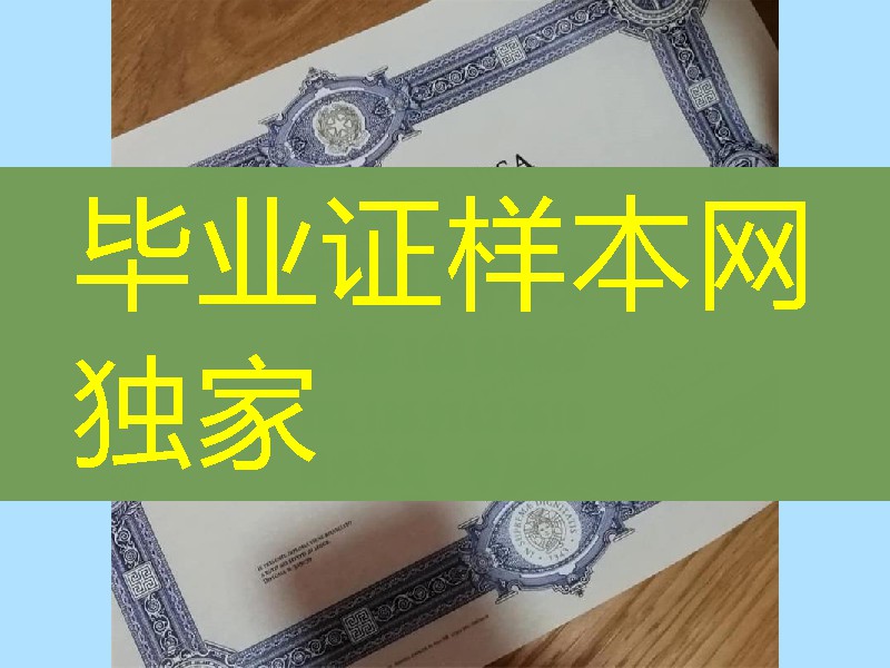 意大利比萨大学毕业证学位样本， University of Pisa diploma degree