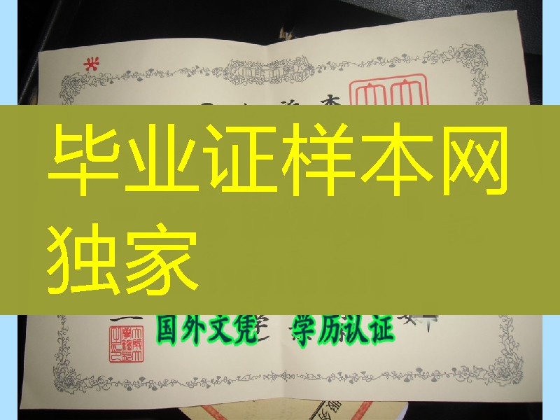 日本大阪大学毕业证样本,日本大阪大学学位记案例