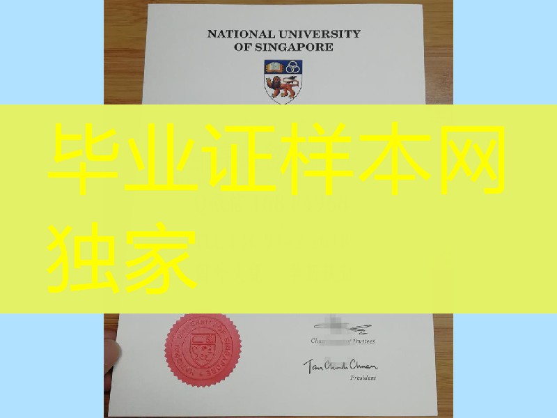 新加坡国立大学本科学位毕业证，National University of Singapore diploma degree