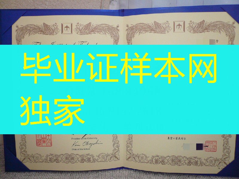 日本东京工业大学毕业证范例，日本东京工业大学学位记卒业证书