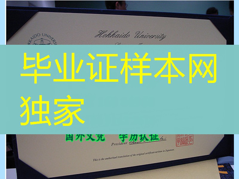 日本北海道大学学位记英文版，Hokkaido University diploma certificate