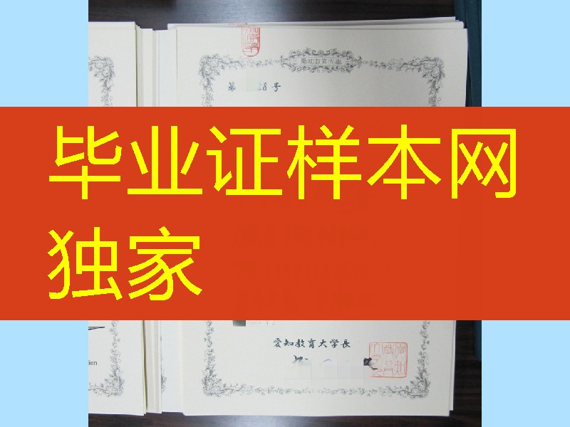日本爱知教育大学学位记，Aichi University of Education diploma certificate