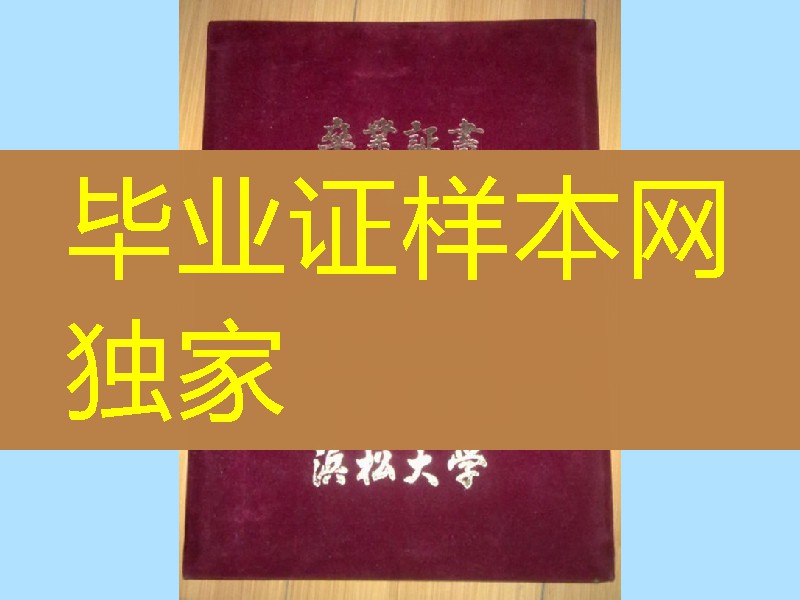 日本滨松大学毕业证外壳。滨松大学学位记封皮