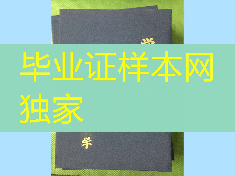 日本大阪大学学位记毕业证书封皮，Osaka University diploma Cover