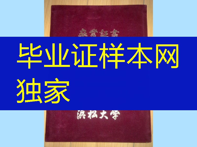 日本滨松大学毕业证外壳，日本滨松大学卒业证书学位记