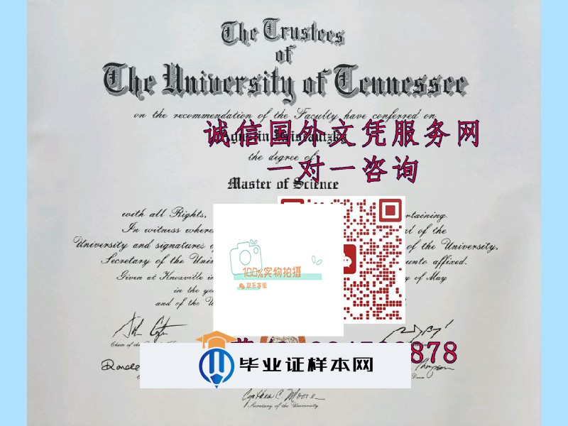 美国田纳西大学毕业证样本=成绩单图片模板