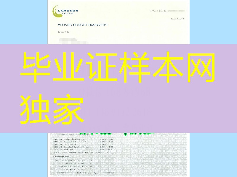加拿大加拿大卡莫森学院camosun college成绩单，camosun college transcript