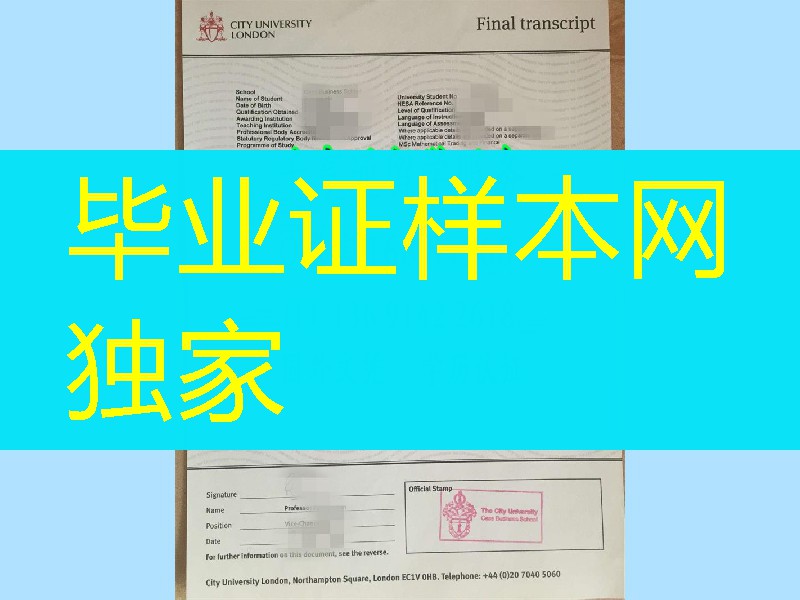 伦敦城市大学成绩单原版实拍，London Metropolitan University  transcript