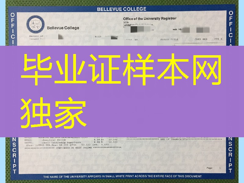 美国贝尔维尤学院成绩单，bellevue college transcript美国大学成绩单定制