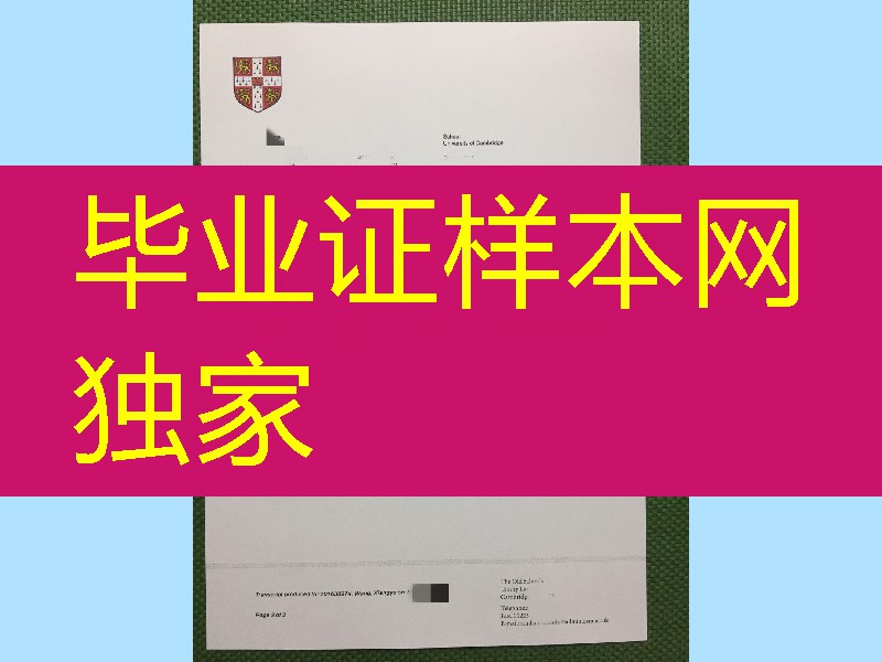 英国剑桥大学成绩单实拍模版，University of Cambridge transcript