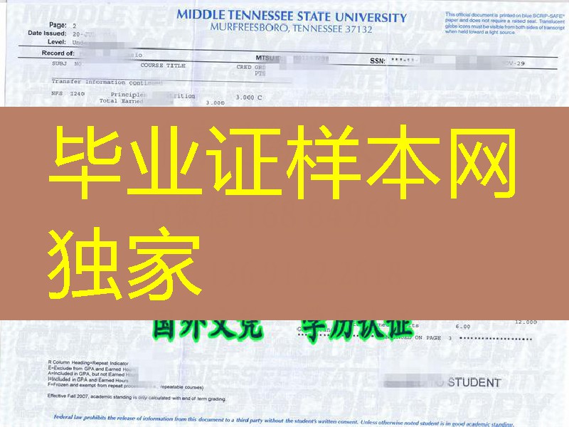 美国中田纳西州立大学Middle Tennessee State University成绩单扫描件
