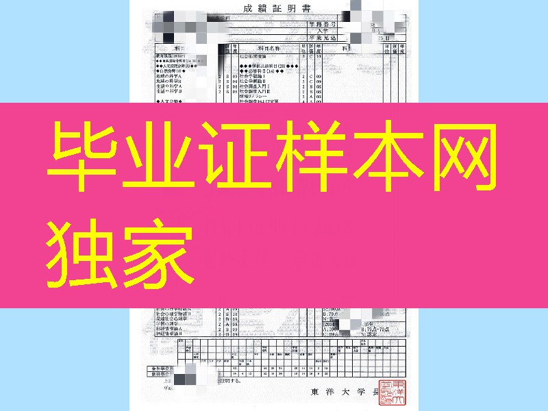 日本东洋大学成绩单样本，Toyo University transcript