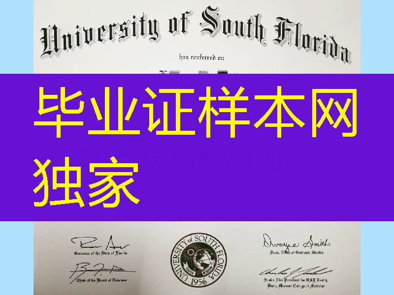 美国南佛罗里达大学毕业证成绩单_university of south florida degree certificate