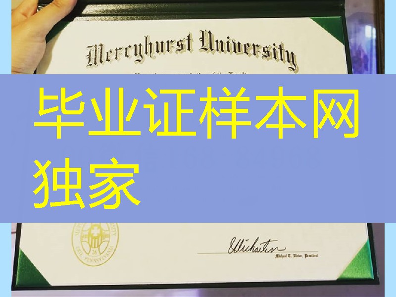 美国梅西赫斯特大学毕业证成绩单，mercyhurst university diploma degree
