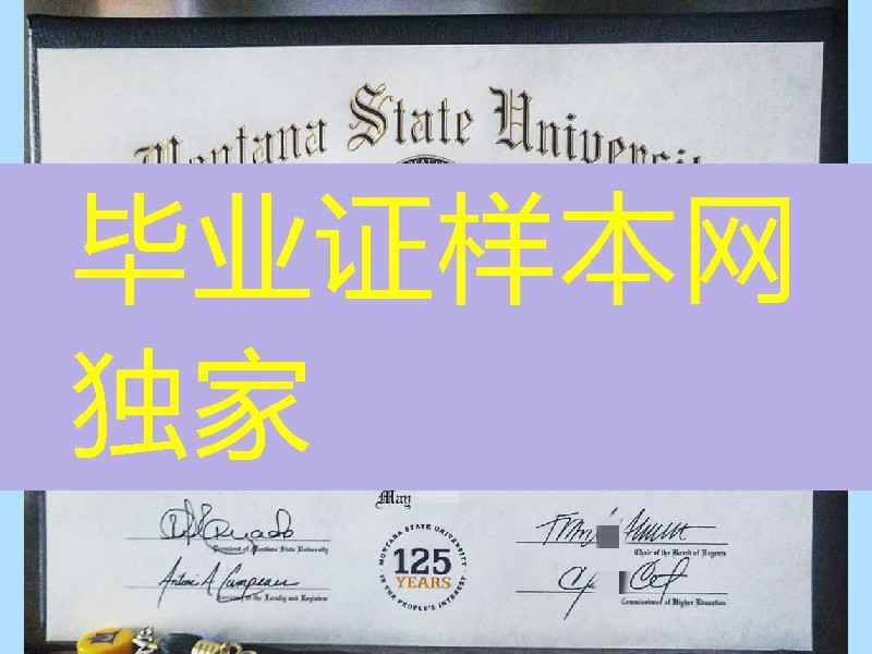美国蒙大拿州立大学毕业证成绩单，montana state university diploma degree