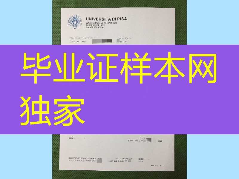 意大利比萨大学成绩单印刷，University of Pisa transcript