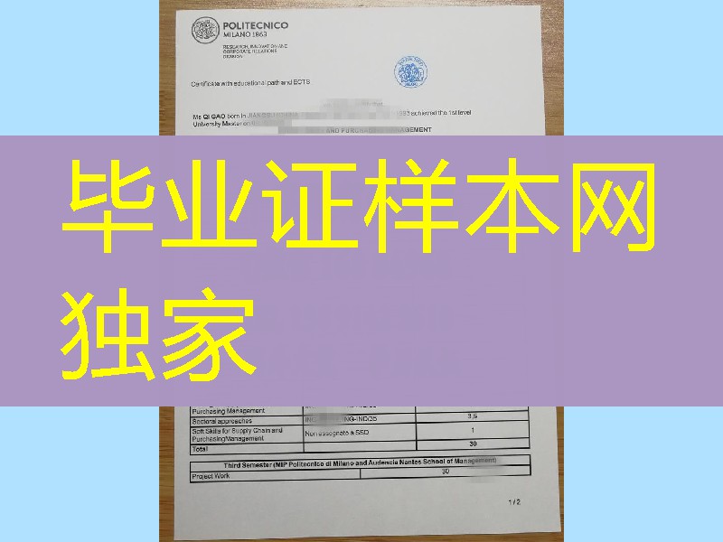 意大利米兰理工大学毕业证成绩单，意大利diploma degree