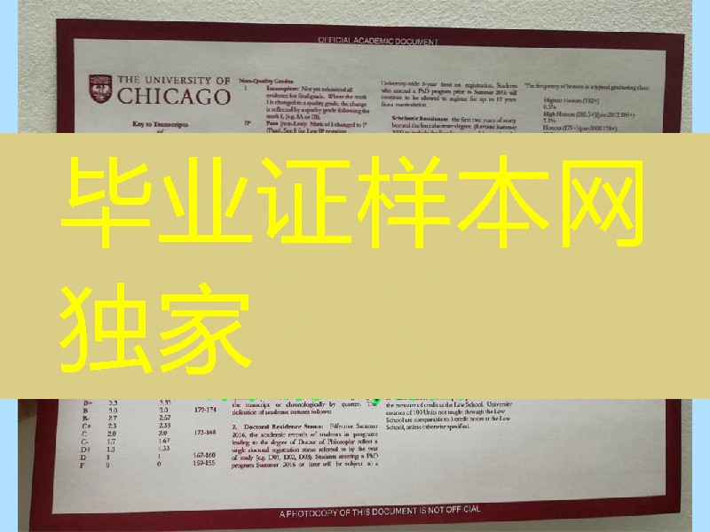 美国芝加哥大学成绩单正反面实拍,University of Chicago transcript