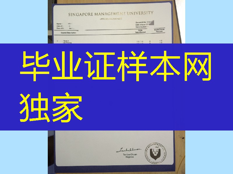 新加坡管理大学成绩单，新加坡SMU大学成绩单样本