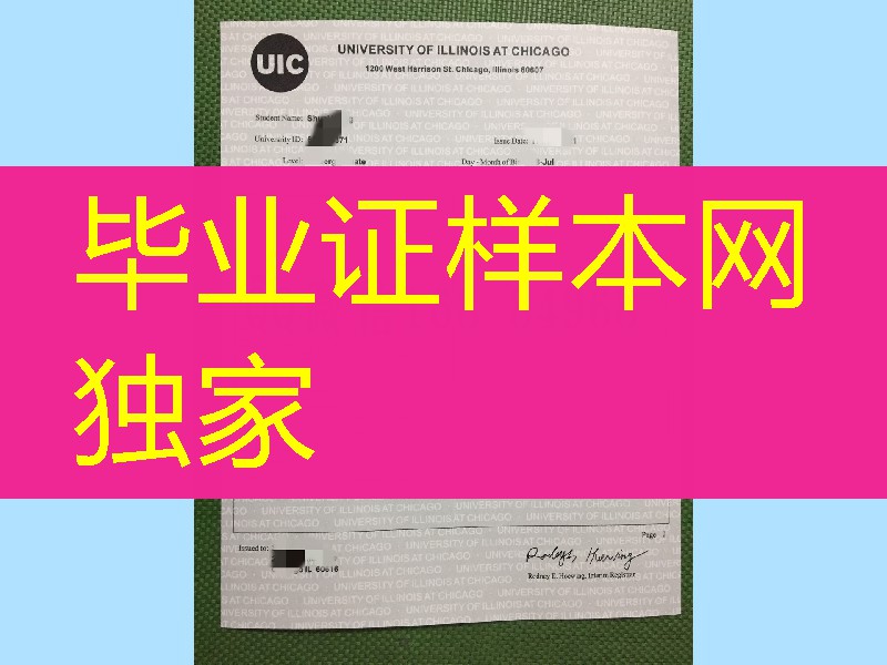 伊利诺伊大学芝加哥分校成绩单,University of Illinois at Chicago transcript
