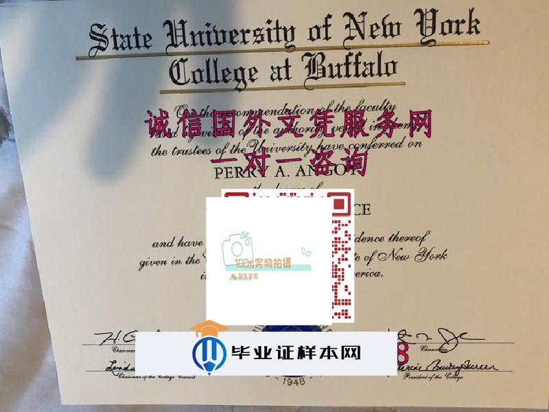 美国纽约州立大学毕业证样本=成绩单模板图片