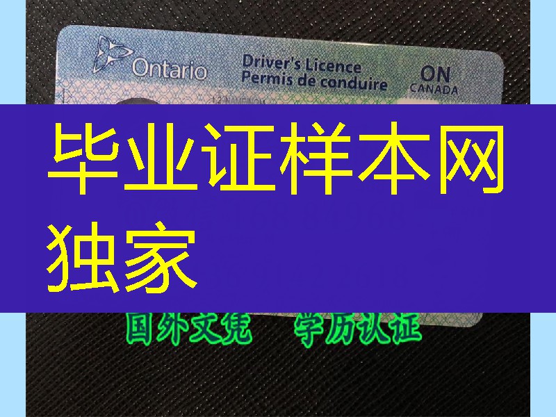 加拿大安省Ontario驾驶执照， Ontario Driving License