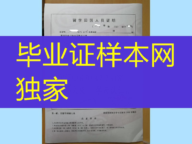 德国留学人员回国证明