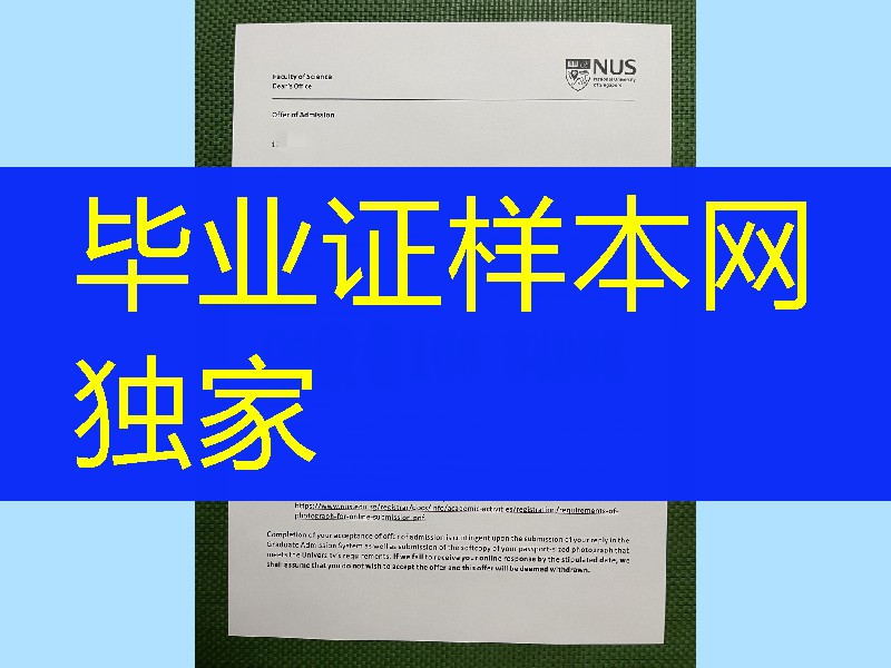 新加坡国立大学录取通知书，National University of Singapore offer letter
